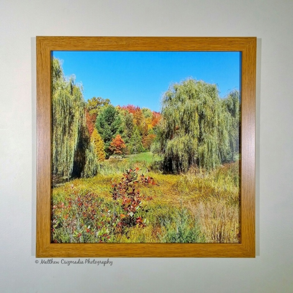 Fall Foliage